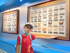 -上海昆虫博物馆