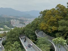 -福道