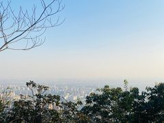 -杭州半山国家森林公园