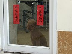 -美联众合动物医院·24h京西诊疗中心