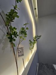 -VE小颜皮肤管理&科学美肤中心