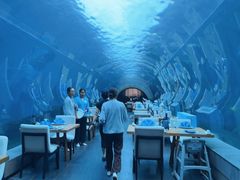 -海棠湾洲际-涛·海底餐厅·美人鱼·自助餐·海底隧道