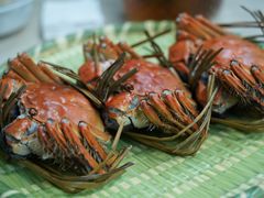 -芸海阁·农家私房菜(沙家浜景区出口店)