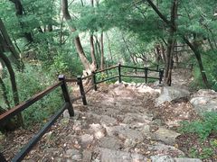 -王顺山国家森林公园