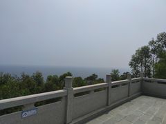 -广东惠东海龟国家级自然保护区