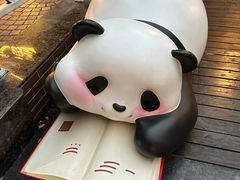 -轩客会(熊猫书店)