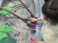 -中国宋庆龄青少年科技文化交流中心