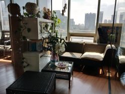 -轩舞汇·爵士舞街舞训练营