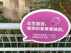 -佛山华盖山公园