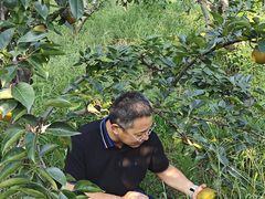 -云河农家乐饭店(福禄缘树山店)