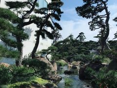 -罗红摄影艺术馆