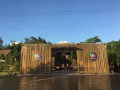 -大树头森林餐厅(番禺广场店)