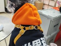 -2326 Coffee Roaster咖啡豆可选店(林肯公园店)