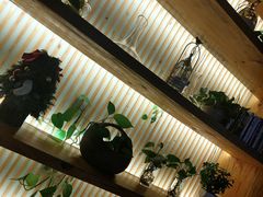 -周三的情书花园餐厅(江北店)