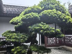 -水绘园