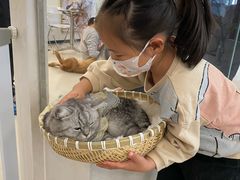 -共舞时光猫咖·狗咖(新街口店)