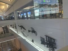 -厦门高崎国际机场-T3航站楼