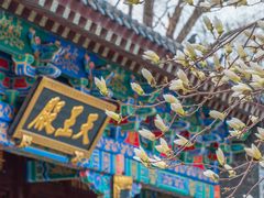 -护国法轮寺