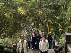 -天鹿湖森林公园