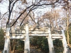 -灵谷景区