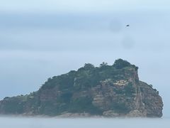 -棒棰岛宾馆景区
