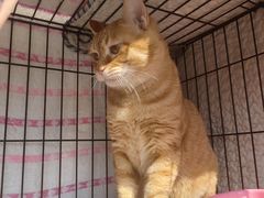 -嘟宝宠物生活馆(白桦林居店)