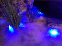 -绿茶餐厅(燕郊永旺店)