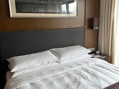-佛山岭南天地康得思酒店