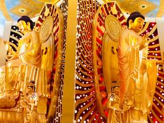 -兴隆文化园景区-兖州博物馆