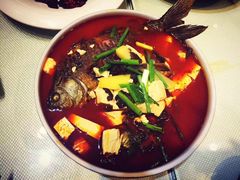 -福照楼汽锅鸡·云南菜(护国路店)
