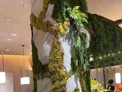 -阿露佳·舌尖上的安吉菜