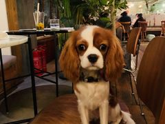 -the rug 飞毯 (朝阳公园店)