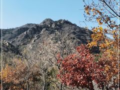 -北京鹫峰国家森林公园