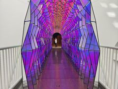 -旧金山现代艺术博物馆