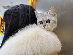-中农国际动物医院24小时·猫科·骨科·急重症中心