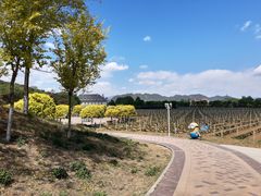 -北京张裕爱斐堡酒庄