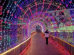 -北京鹿世界主题园