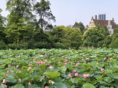 -成都南湖公园