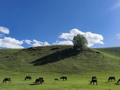-新疆那拉提国家旅游度假区