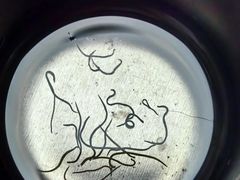 -芭比堂动物医院·CT·微创中心(新顺分院)