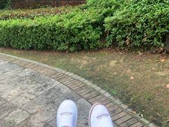 -天目湖涵田度假村