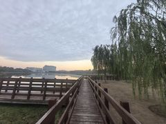 -南汇新城城市公园