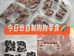 -艾贝尔宠物医院·24H转诊中心·肿瘤猫专科(江宁双龙店)