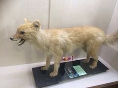 iphone_upload_pic-下渚湖国家湿地公园科普馆