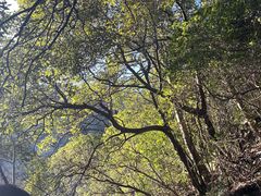 -庐山碧龙潭风景区