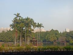 -荔湾湖公园