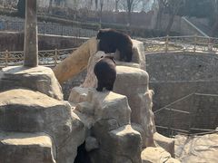 -石家庄市动物园