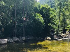 -陕西省红河谷森林公园