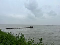 -贡湖湾湿地公园