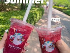 -瑞幸咖啡(西铁营万达广场店)